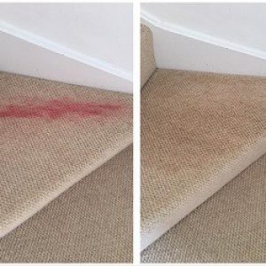 carpet-cleaning-company carpet-cleaning-company